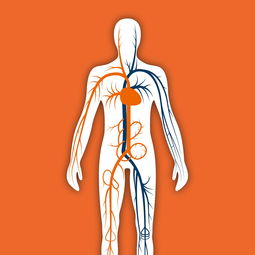 GAS价格怎样涨 gas价格是什么意思